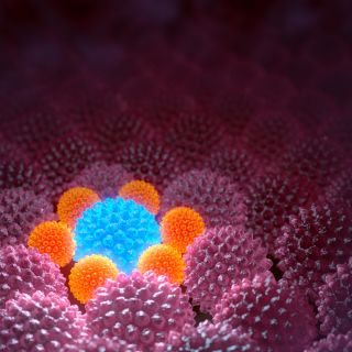 Regeneración de tejidos